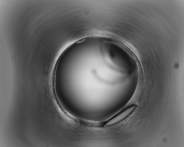 X0000099311152200805091012