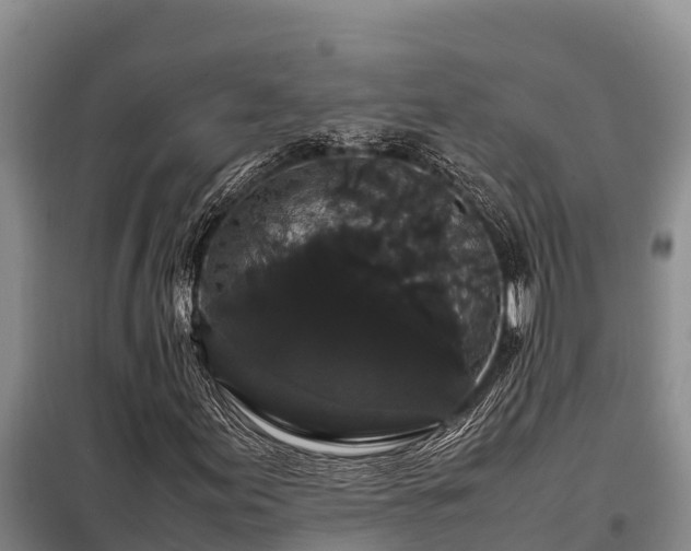 X0000099311155200805091011