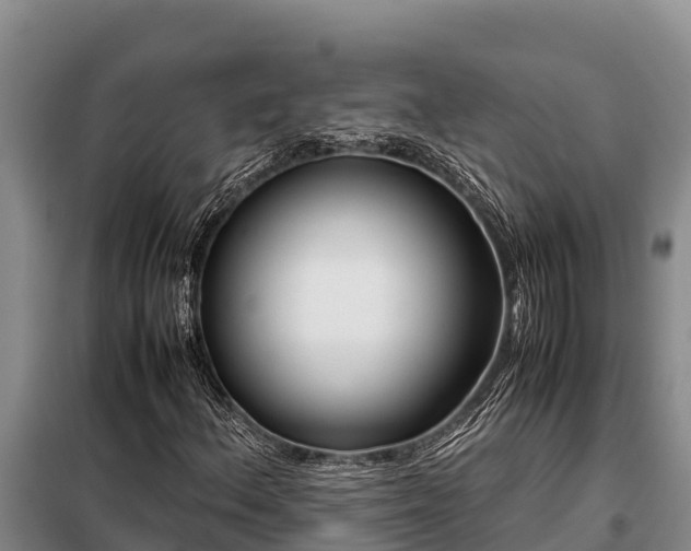 X0000099311156200805091011