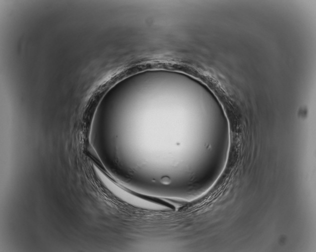 X0000099311159200805091011