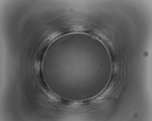 X0000099311161200805091011