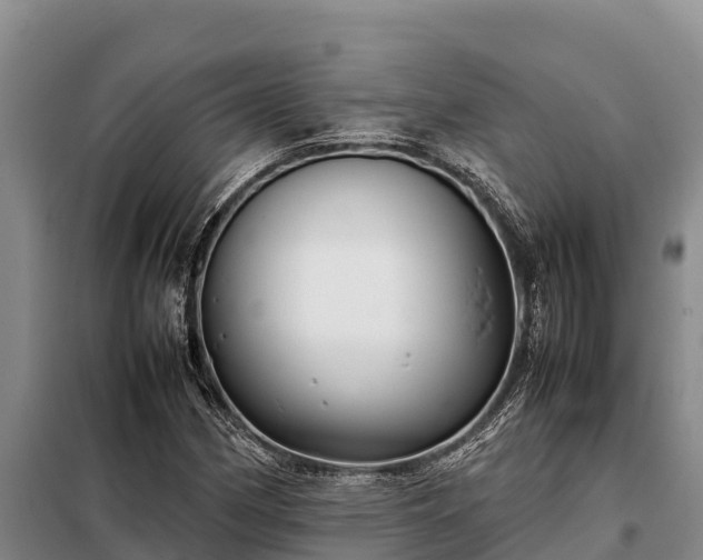 X0000099311162200805091011