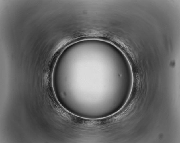 X0000099311163200805091011