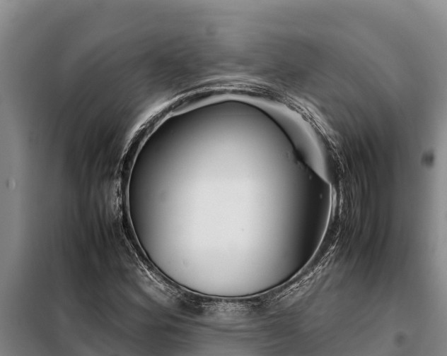 X0000099311164200805091011