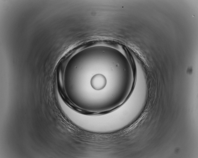 X0000099311165200805091011