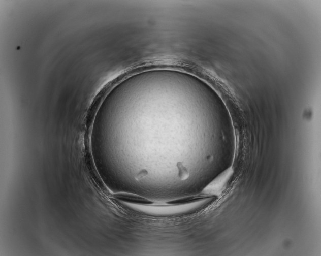X0000099311166200805091011