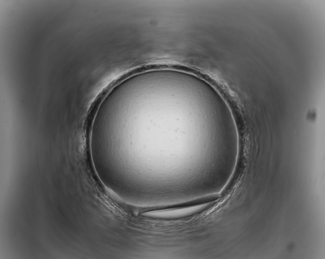 X0000099311167200805091011
