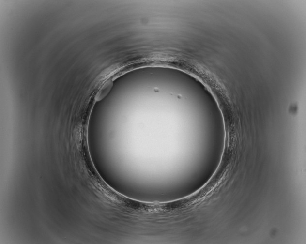 X0000099311169200805091011