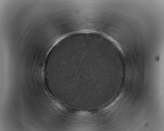 X0000099311170200805091011