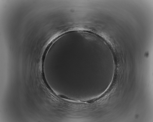 X0000099311173200805091011
