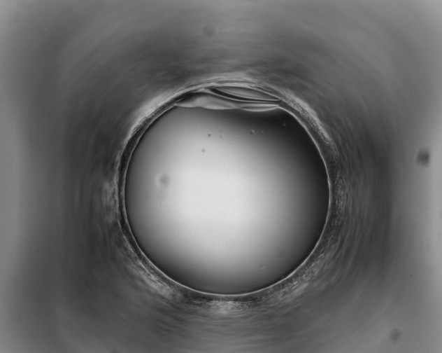 X0000099311176200805091011