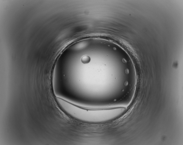 X0000099311177200805091011