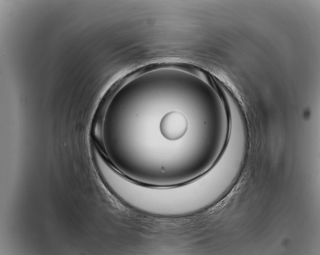 X0000099311181200805091010