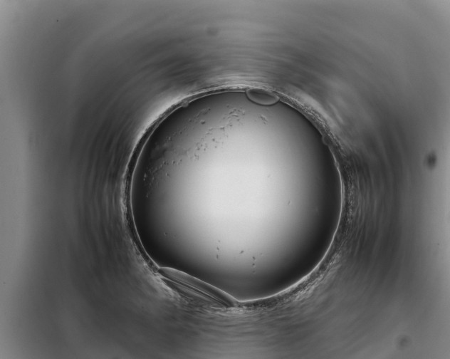 X0000099311182200805091010