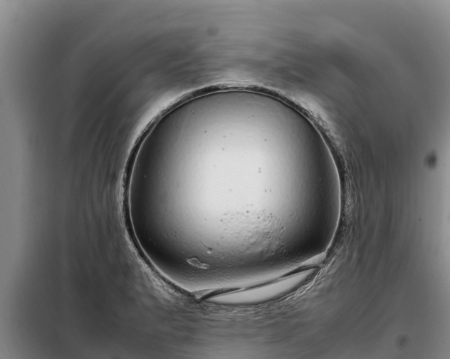X0000099311183200805091010