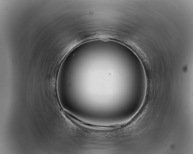 X0000099311185200805091010