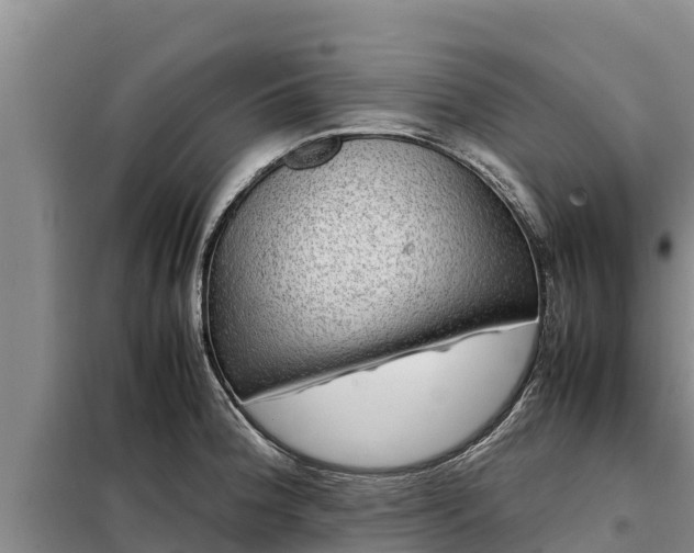 X0000099311188200805091010