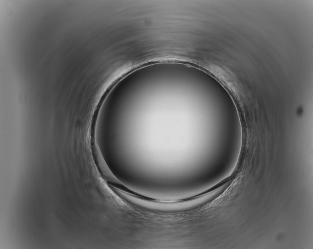 X0000099311189200805091010