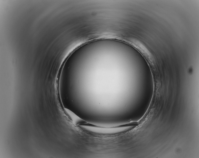 X0000099311190200805091010