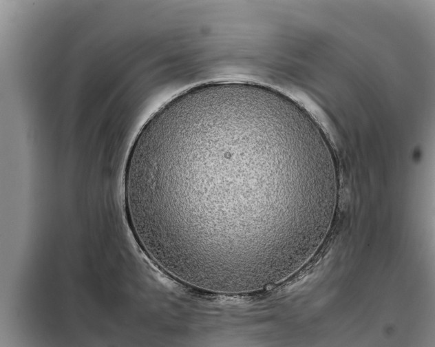 X0000099311191200805091010