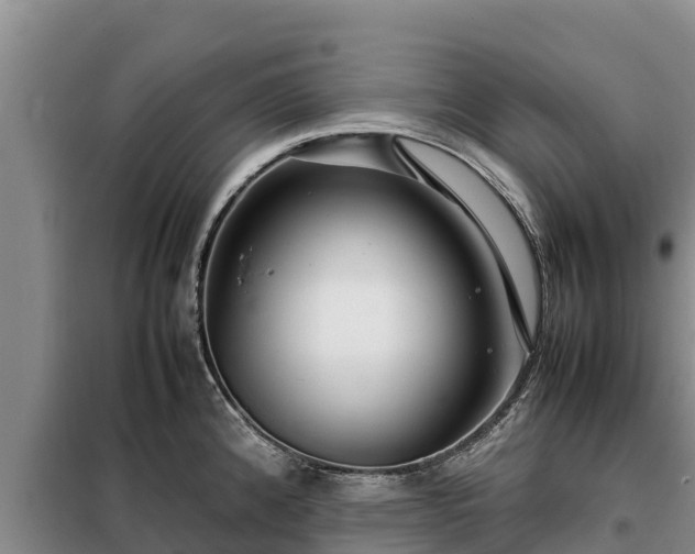 X0000099311192200805091010