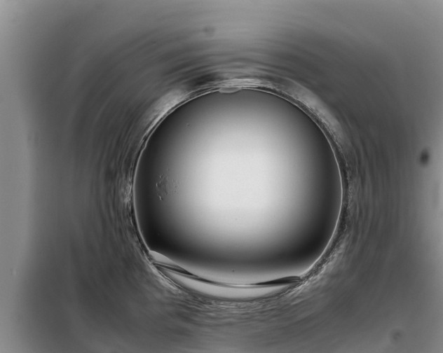 X0000099311193200805091010