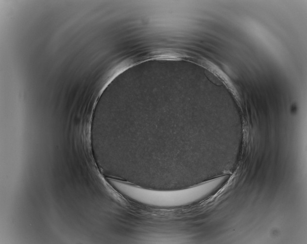 X0000099311194200805091010