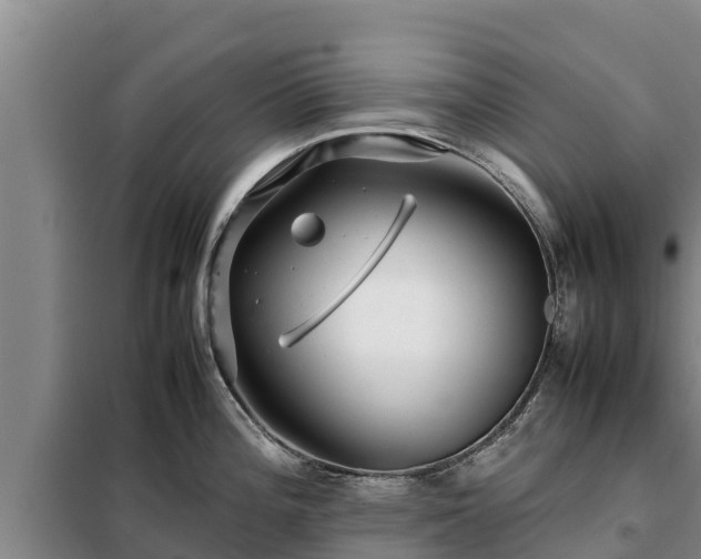 X0000099311196200805091010