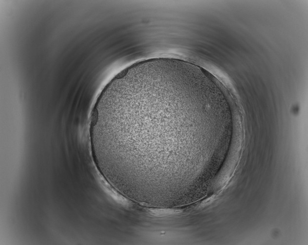 X0000099311200200805091010