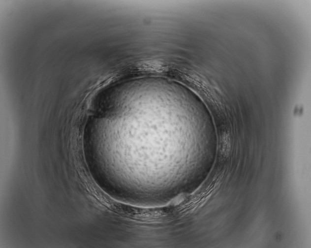 X0000099311201200805091009