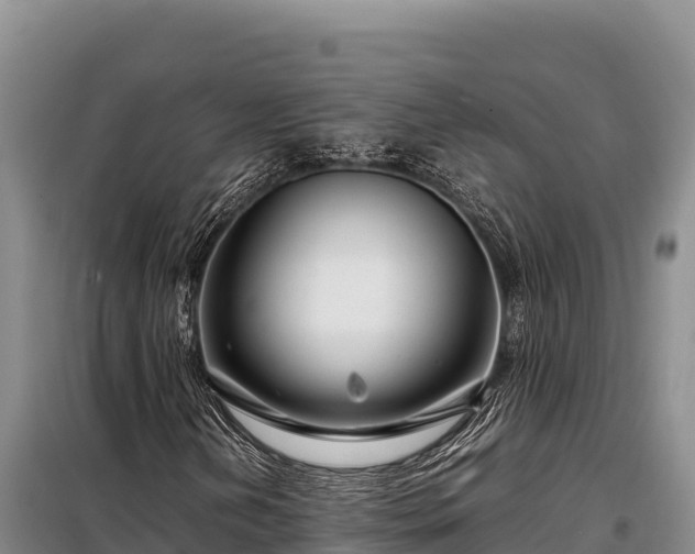 X0000099311202200805091009