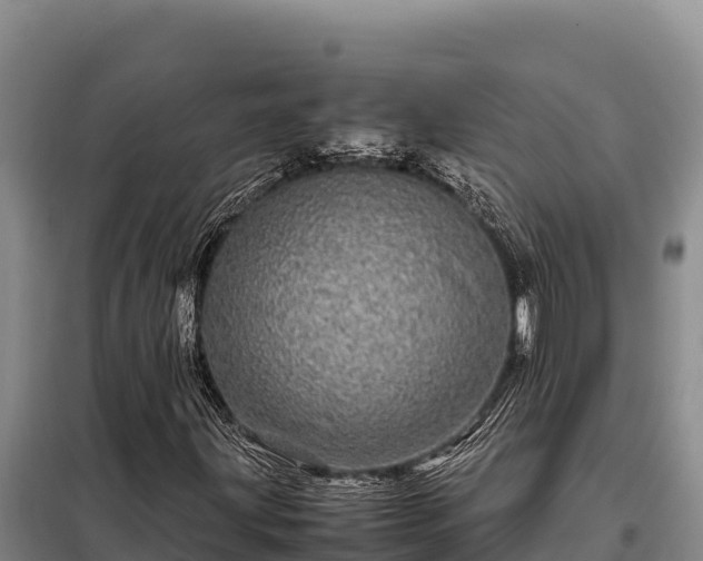 X0000099311203200805091009