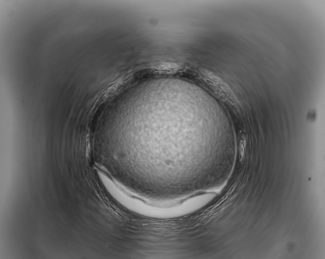 X0000099311204200805091009