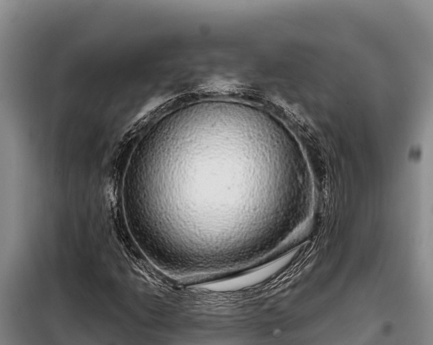 X0000099311206200805091010