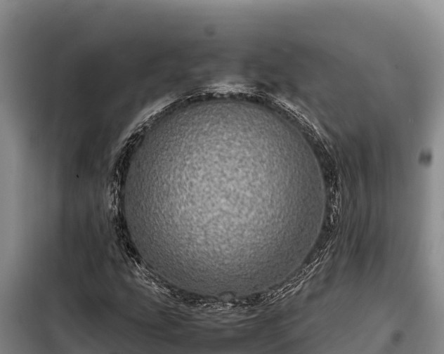 X0000099311207200805091010