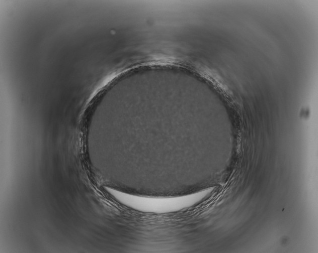 X0000099311208200805091010