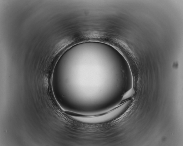 X0000099311209200805091010