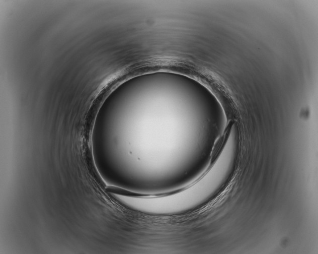 X0000099311210200805091010