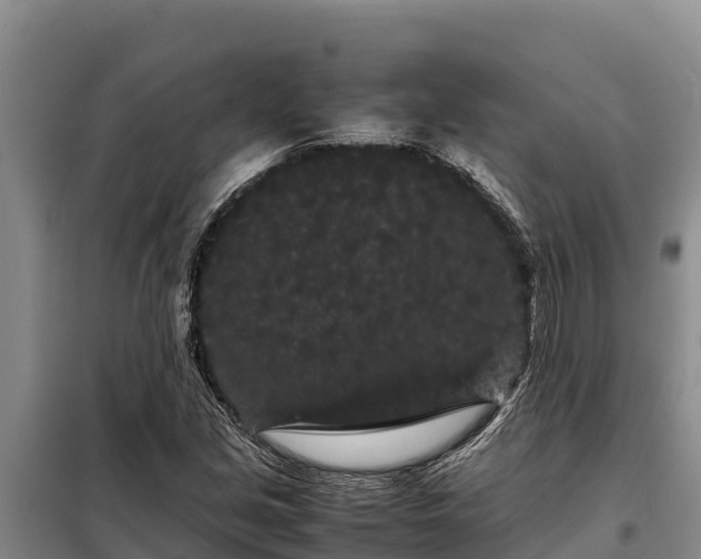 X0000099311213200805091010