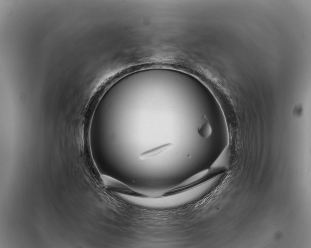 X0000099311214200805091010