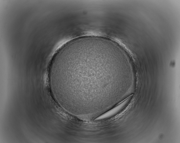 X0000099311215200805091010