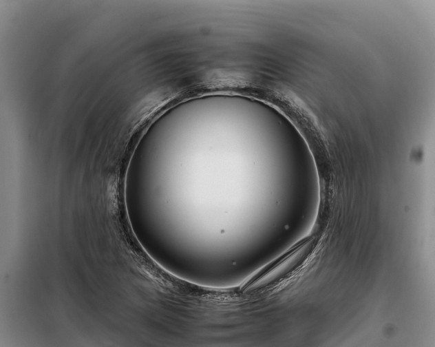 X0000099311217200805091010