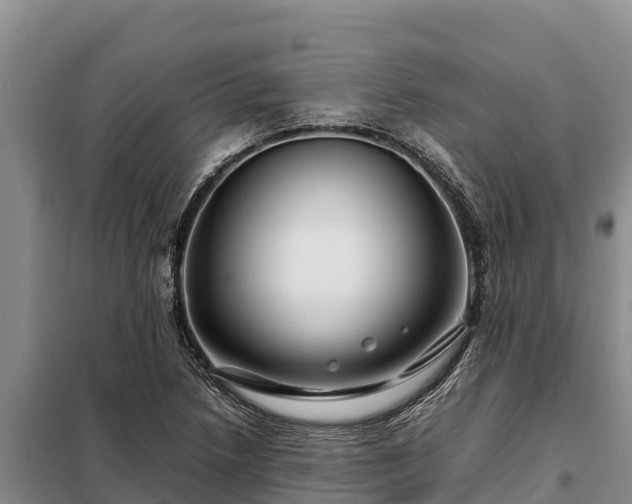 X0000099311218200805091010