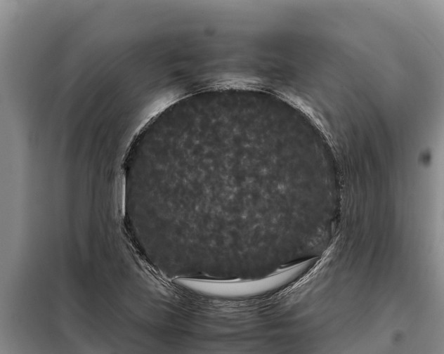 X0000099311219200805091010