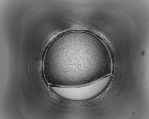 X0000099311220200805091010