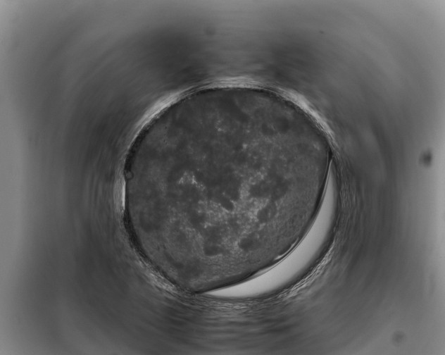 X0000099311221200805091010