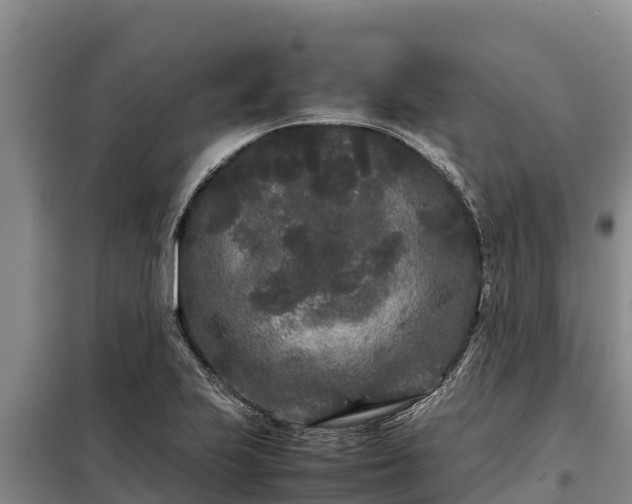 X0000099311223200805091010