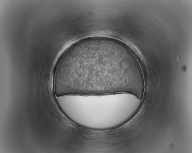 X0000099311224200805091010