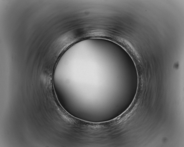 X0000099311225200805091010