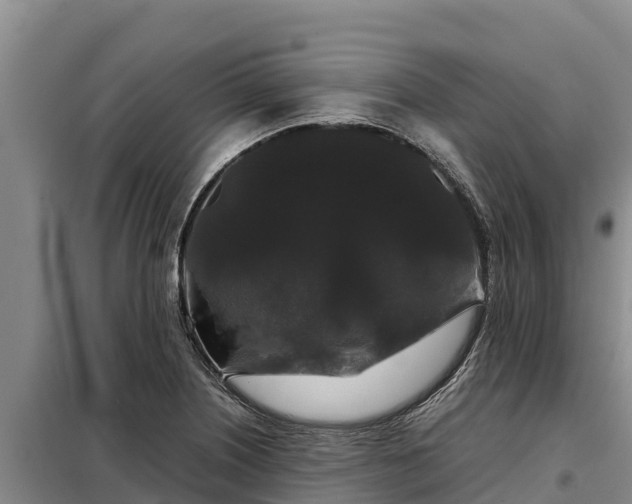 X0000099311226200805091010